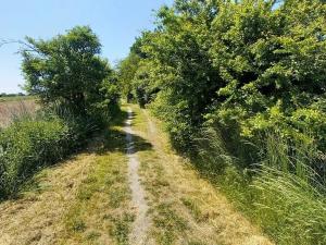 Prodej pole, Čestlice, Říčanská, 480 m2