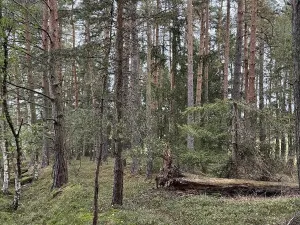 Prodej pozemku, Slavče, 13051 m2