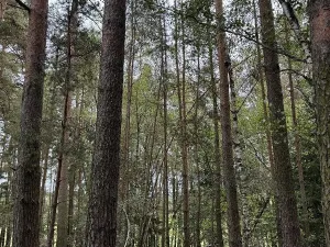 Prodej pozemku, Slavče, 13051 m2