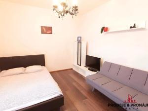 Prodej bytu 1+kk, Praha - Vysočany, Freyova, 22 m2