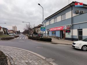 Pronájem, Poděbrady - Poděbrady V, U Vlečky, 4 m2