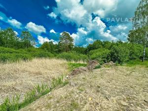 Prodej pozemku pro bydlení, Chlum u Třeboně, 42971 m2