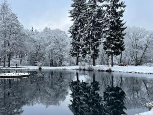 Prodej bytu 2+kk, Loučná pod Klínovcem, 47 m2