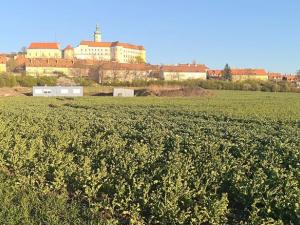 Prodej pozemku pro bydlení, Mikulov, 1018 m2