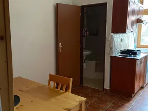 Pronájem bytu 1+1, Praha - Košíře, Vrchlického, 28 m2