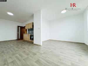 Pronájem bytu 1+kk, Benešov, Hodějovského, 40 m2