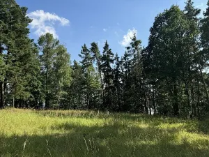 Prodej pozemku, Třebohostice, 4365 m2