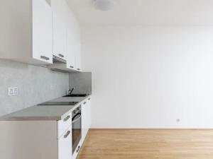 Pronájem bytu 1+kk, Praha - Žižkov, Olšanská, 37 m2