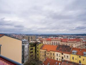 Prodej bytu 4+kk, Praha - Žižkov, Bořivojova, 138 m2