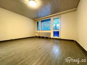 Pronájem bytu 1+kk, Všemyslice - Bohunice, 33 m2