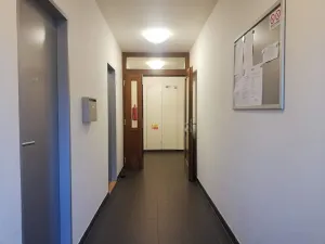 Pronájem bytu 2+kk, Praha - Smíchov, Fráni Šrámka, 50 m2