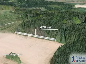 Prodej lesa, Štoky, 478 m2