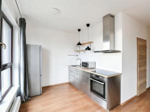 Pronájem bytu 1+kk, Beroun, Na Veselou, 41 m2