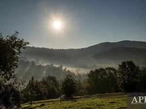 Prodej pozemku pro bydlení, Žítková, 6433 m2