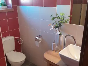 Pronájem výrobních prostor, Ostrožská Lhota, 570 m2