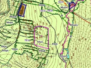 Dražba louky, Přimda, 35381 m2