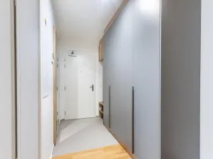 Pronájem bytu 2+kk, Praha - Žižkov, Seifertova, 68 m2