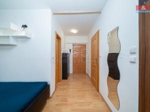 Pronájem bytu 1+kk, Olomouc - Povel, Slavonínská, 38 m2