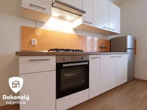 Pronájem bytu 3+kk, Mladá Boleslav, Boženy Němcové, 84 m2