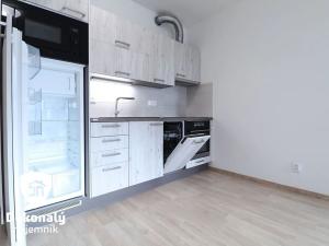 Pronájem bytu 1+kk, Praha - Žižkov, Olgy Havlové, 38 m2