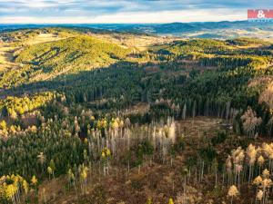 Prodej lesa, Vacov - Žár, 10477 m2