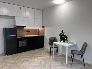 Pronájem bytu 1+kk, Brno, Cejl, 30 m2