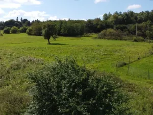 Dražba louky, Žlutice, 4670 m2