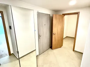 Pronájem bytu 2+kk, Praha - Žižkov, 56 m2