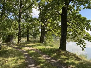 Prodej pozemku pro bydlení, Třeboň, 922 m2