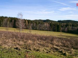 Prodej rodinného domu, Rožmitál na Šumavě - Zahrádka, 150 m2