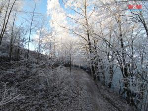 Prodej chaty, Rychnov nad Kněžnou, 25 m2