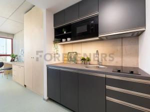 Pronájem bytu 1+kk, Brno, Dornych, 28 m2