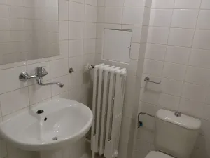 Pronájem bytu 1+kk, Brno, Heršpická, 23 m2