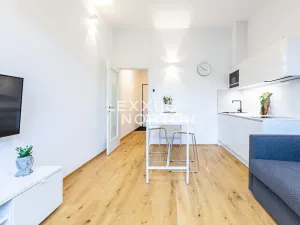 Pronájem bytu 1+kk, Praha - Veleslavín, Na dračkách, 31 m2