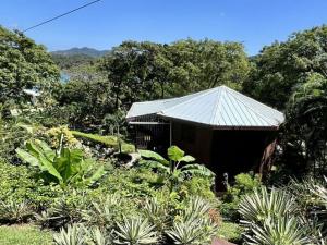 Prodej chaty, Punta Blanca, José Santos Guardiola, Honduras, 232 m2