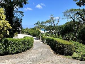 Prodej chaty, Punta Blanca, José Santos Guardiola, Honduras, 232 m2