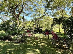 Prodej chaty, Punta Blanca, José Santos Guardiola, Honduras, 232 m2