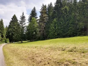 Prodej pozemku pro bydlení, Přední Výtoň, Frýdava, 2152 m2