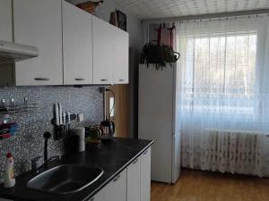 Pronájem bytu 2+kk, Kladno, Litevská, 45 m2