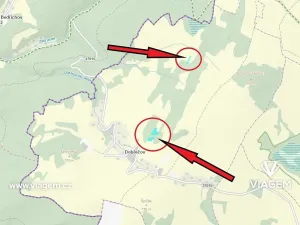 Prodej podílu lesa, Horní Město, 5939 m2