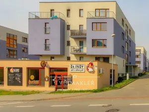 Pronájem bytu 3+kk, Brno, Čeňka Růžičky, 85 m2