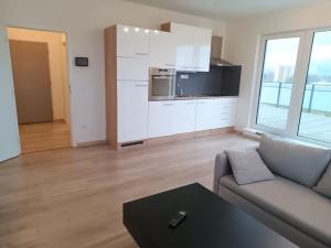 Pronájem bytu 1+kk, České Budějovice, O. Nedbala, 42 m2