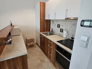 Pronájem bytu 1+kk, Praha - Vinohrady, Šafaříkova, 39 m2