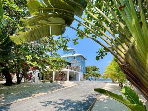 Prodej rodinného domu, Camp Bay, José Santos Guardiola, Honduras, 511 m2