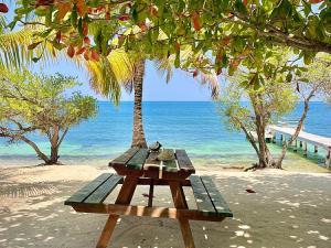 Prodej rodinného domu, Camp Bay, José Santos Guardiola, Honduras, 511 m2