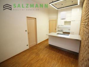 Pronájem bytu 2+kk, Plzeň, Lipová, 34 m2