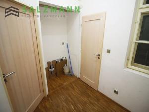 Pronájem bytu 2+kk, Plzeň, Lipová, 34 m2