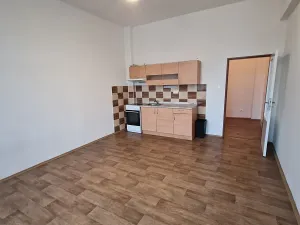 Pronájem bytu 2+kk, Ústí nad Labem, Hradiště, 49 m2