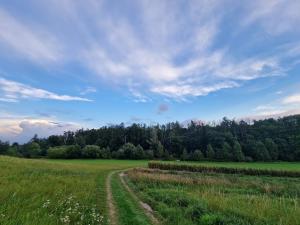 Prodej pozemku pro bydlení, Vyšehořovice, 919 m2