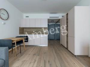 Pronájem bytu 1+kk, Praha - Karlín, Sokolovská, 28 m2